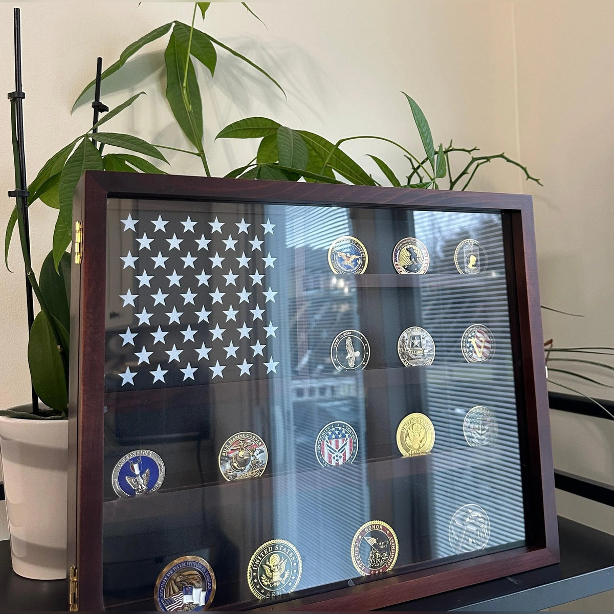 American Flag Challenge Coin Display Case beside houseplants in a living room