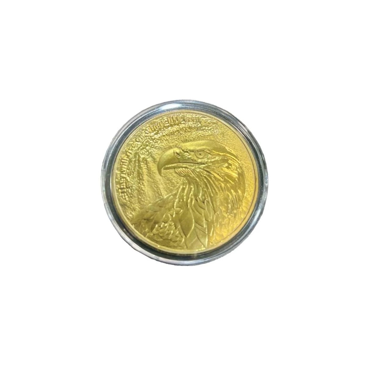 Isaiah 40:31 Eagle Coin eagle side straight on, in its capsule