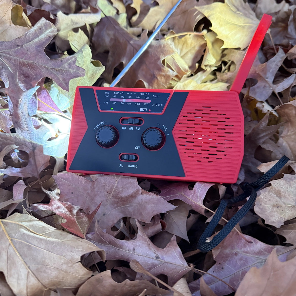 Emergency Radio front view with antenna up in fall leaves