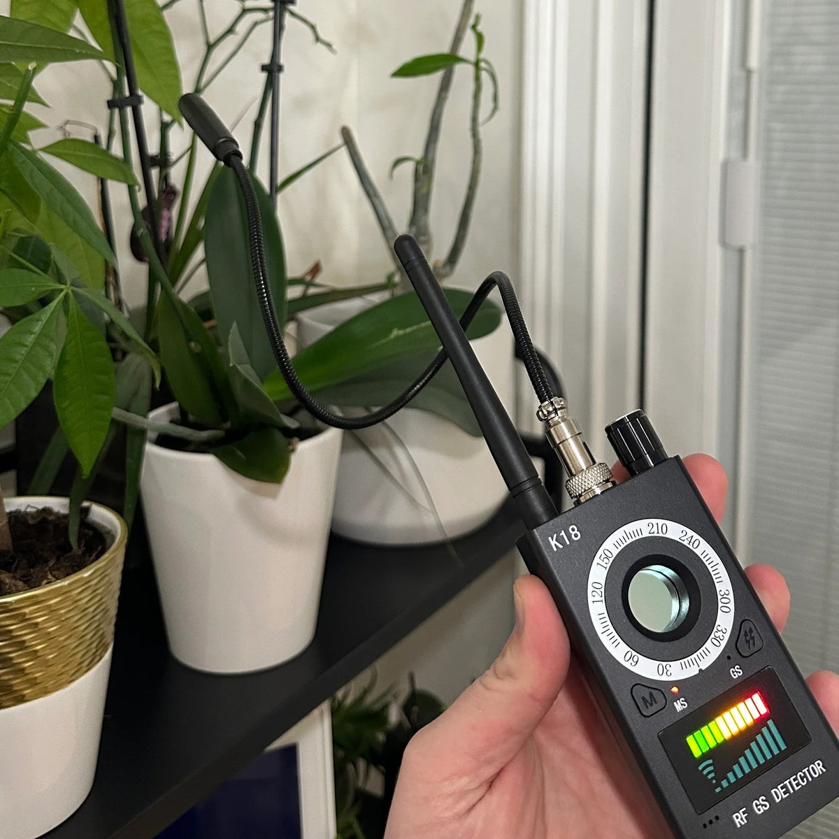 Spy Bug Detector checking a shelf of house plants