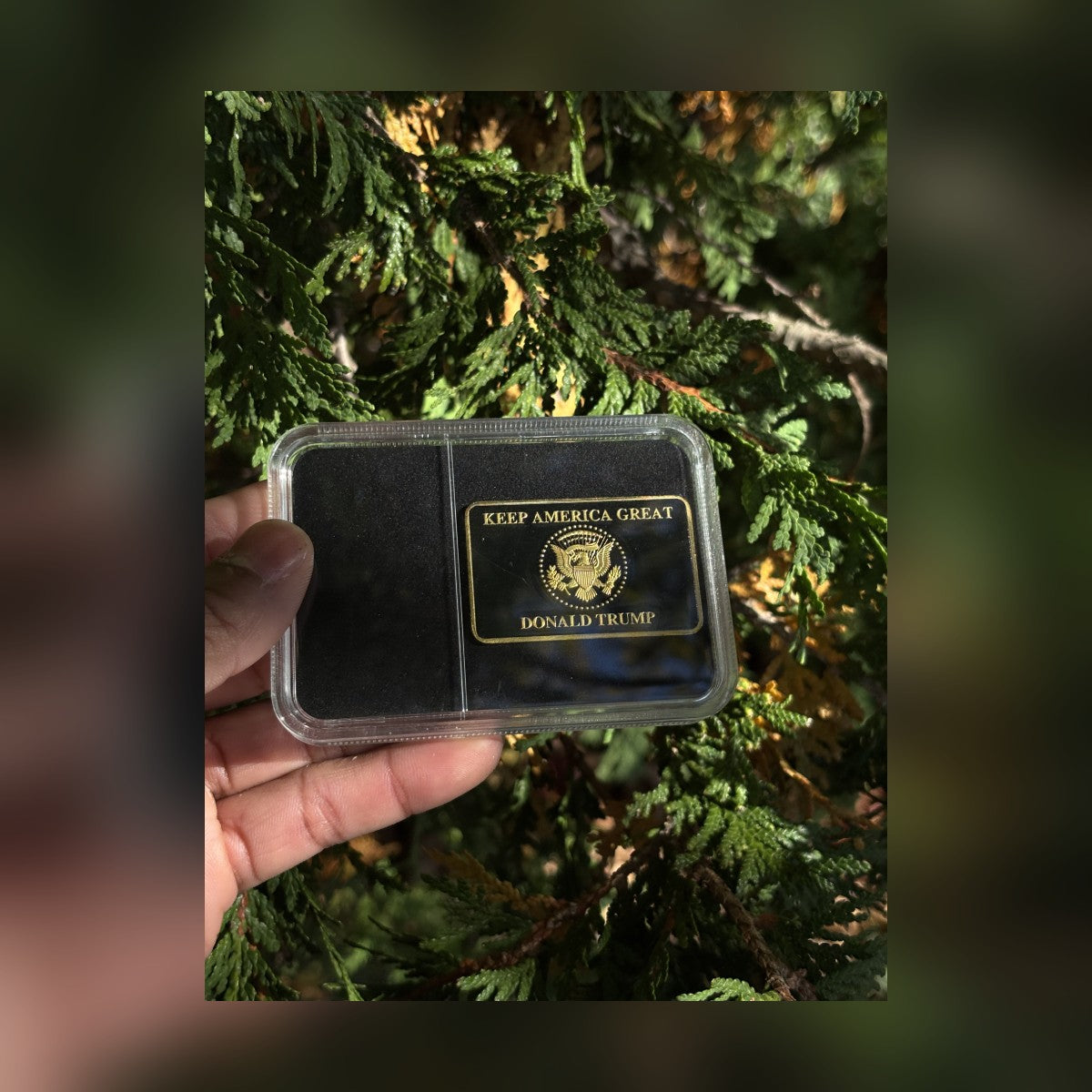 Trump Liberty 2024 black and gold bar capsule held in hand in front of evergreen branches
