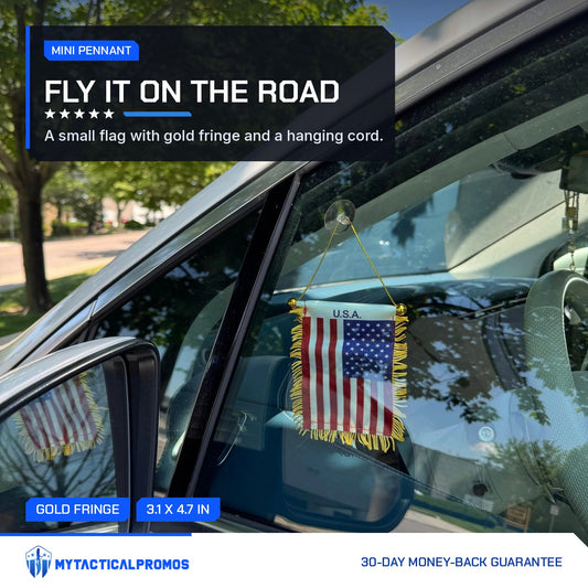 USA Flag Mini Pennant hanging in a car side window