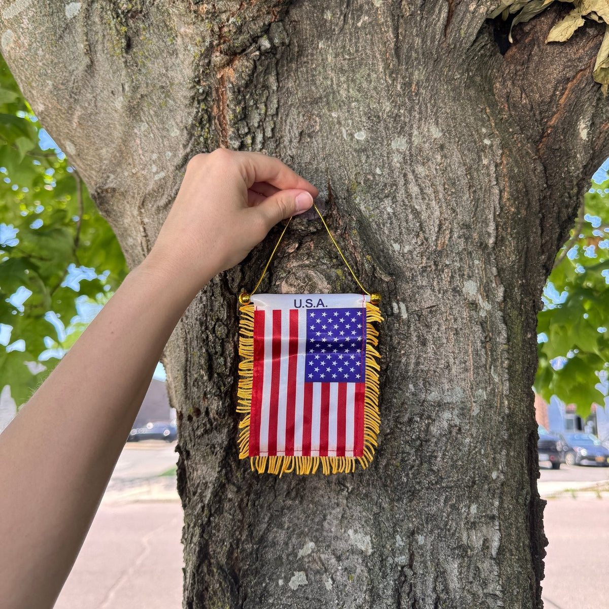 USA Flag Mini Pennant hung on a tree trunk outdoors